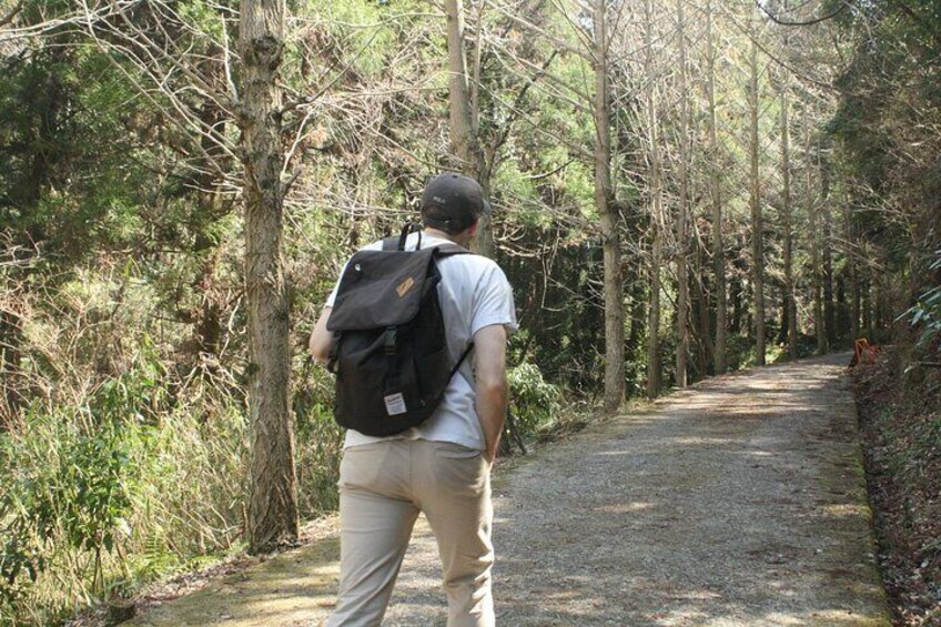 Escape the City Short Hike and Onigiri Picnic in Osaka