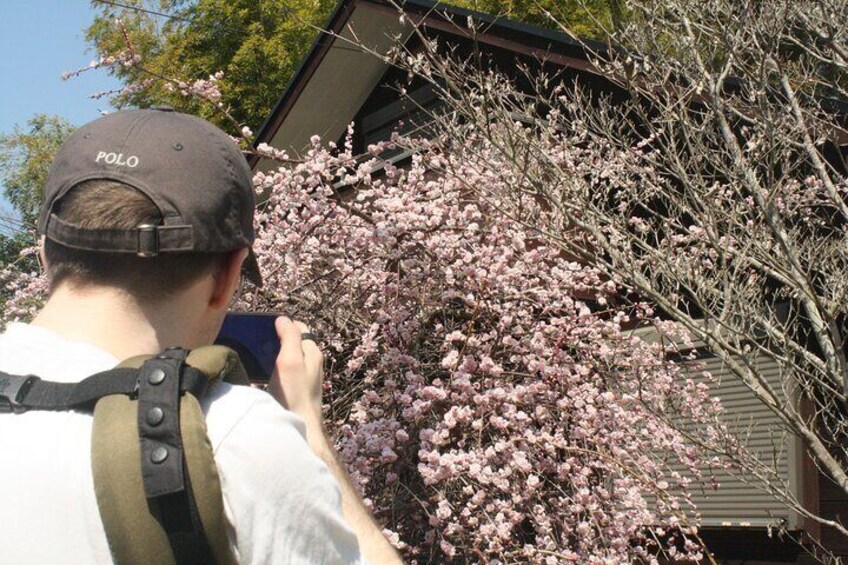 Escape the City Short Hike and Onigiri Picnic in Osaka
