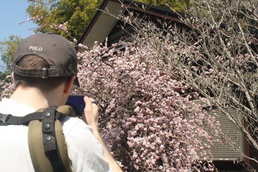 Escape the City Short Hike and Onigiri Picnic in Osaka