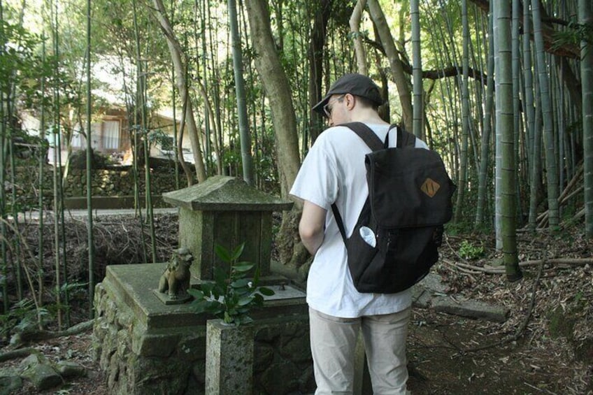 Escape the City Short Hike and Onigiri Picnic in Osaka