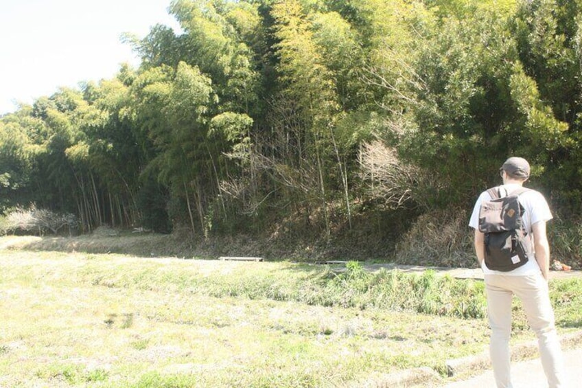 Escape the City Short Hike and Onigiri Picnic in Osaka