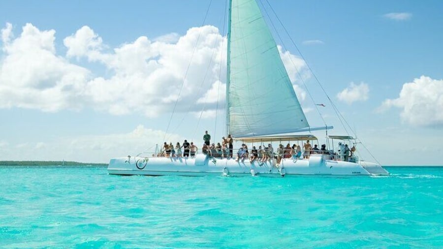 Saona Island Adventure From Punta Cana With Lunch and Transportation