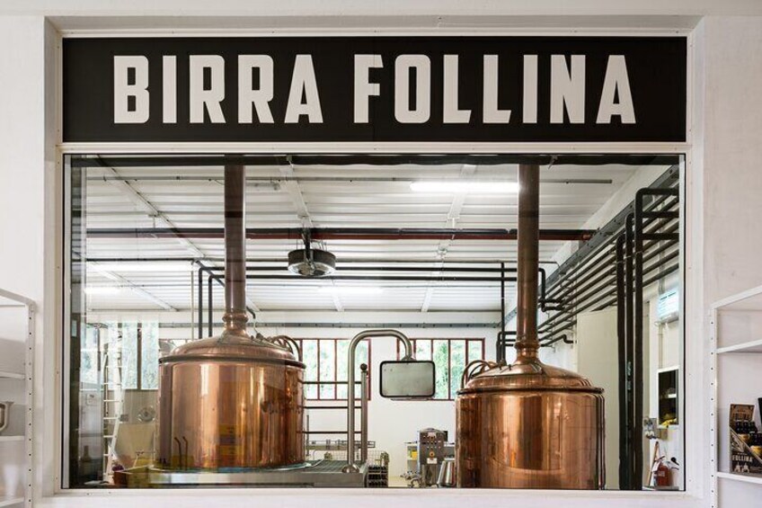 Guided tour of the Craft Brewery with tasting 
