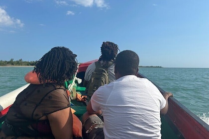 YS Falls y Zipline con el tour de día completo Pelican Bar de Floyd