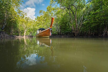 Ko Lanta: visite de la mangrove en bateau à longue queue