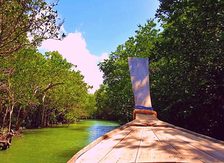 Picture 13 for Activity Ko Lanta: Mangrove Tour by Long Tail Boat