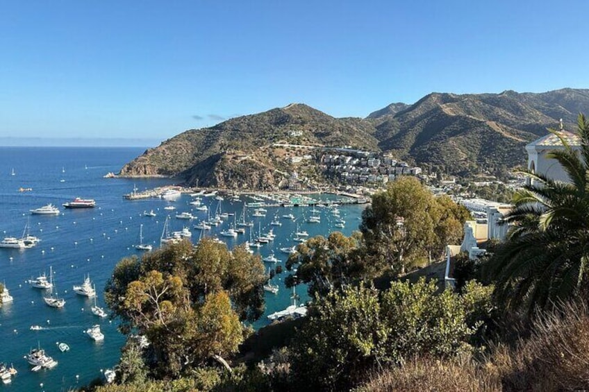 Sunset Summit Catalina Island Shared Tour