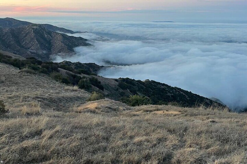 Sunset Summit Catalina Island Shared Tour