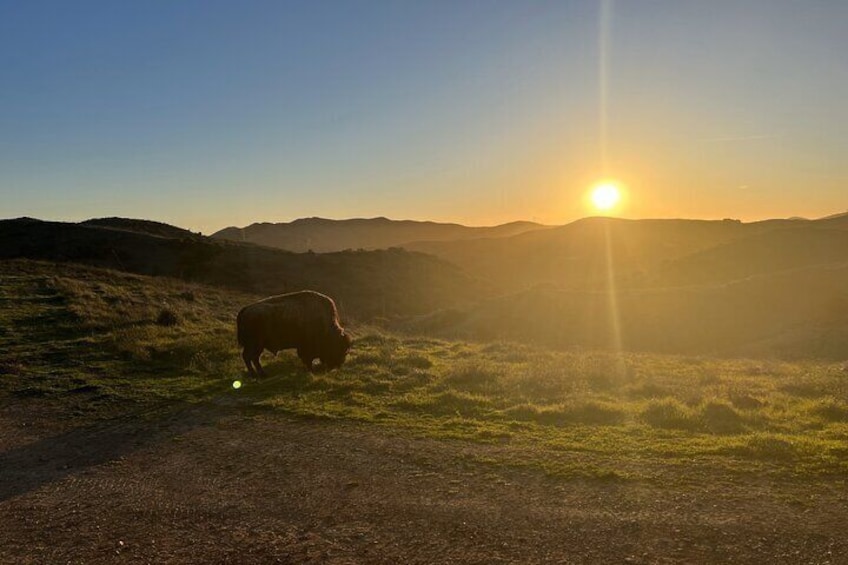 Sunset Summit Catalina Island Shared Tour