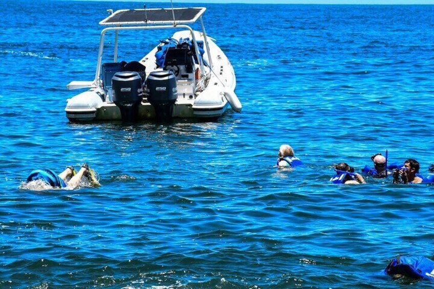 Yelapa Adventure and Snorkeling Escape in Puerto Vallarta