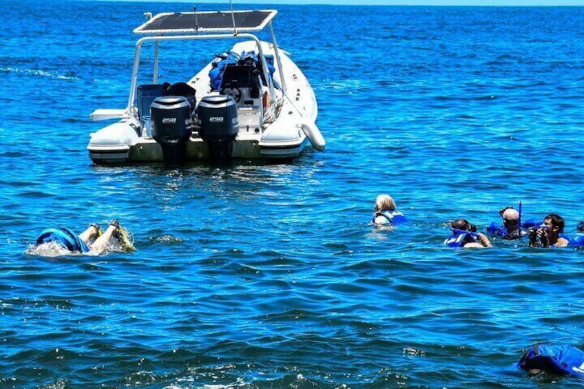 Yelapa Adventure and Snorkeling Escape in Puerto Vallarta