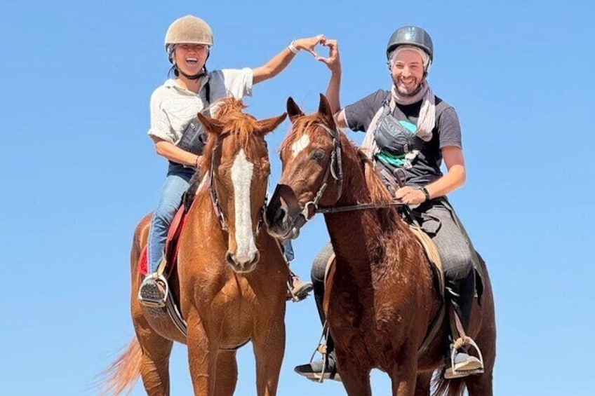 Horse Riding by Black Stallion Marrakech