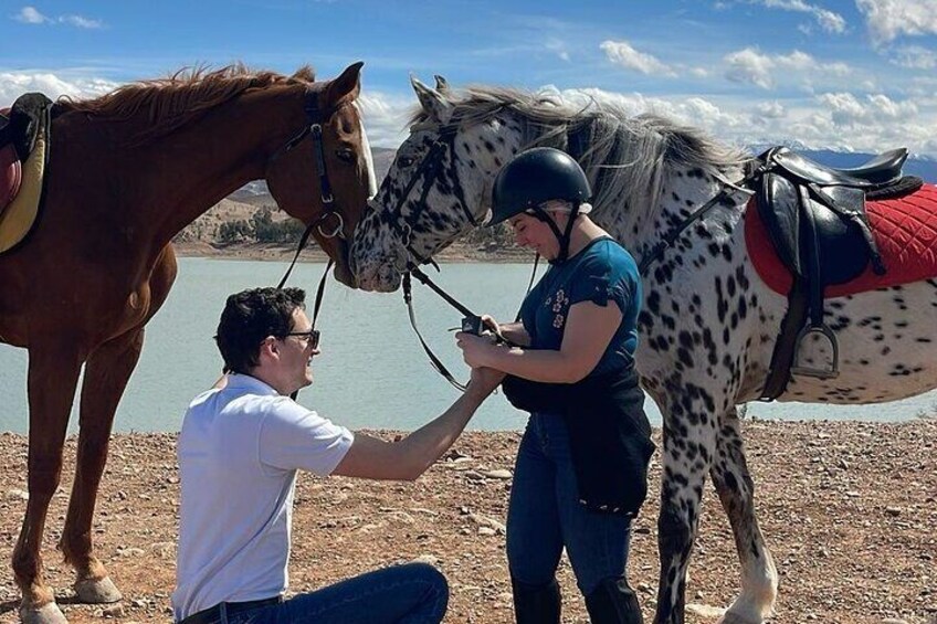 Horse Riding by Black Stallion Marrakech