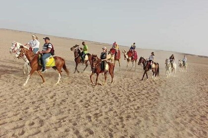 Desert Horse Riding Adventure 2 Hours with Transfer :Marsa Alam