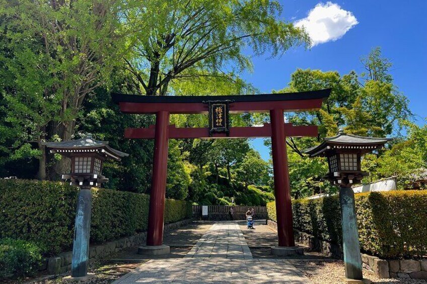 Yanaka and Ueno the Tokyo of Tradition