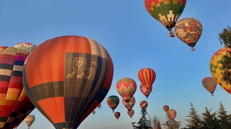 Discover the magic of watching balloons take off