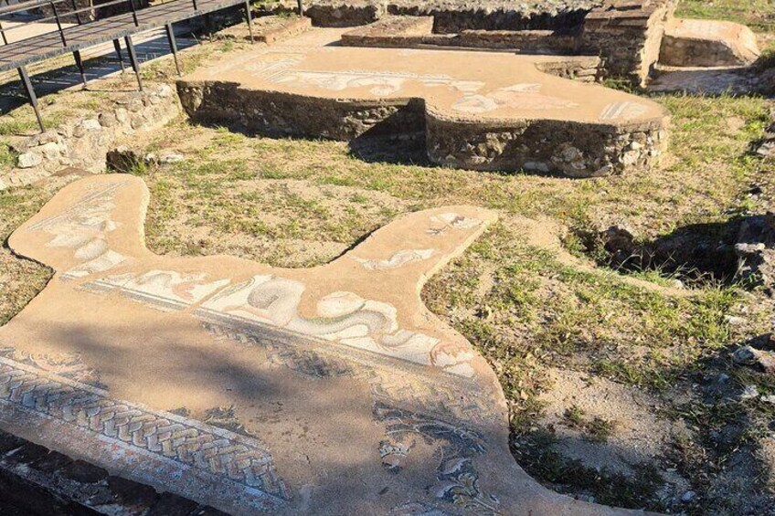 Dion Archeology Park