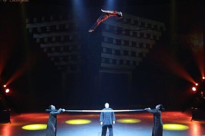 ERA Acrobatics Show Ticket with Private Transfer