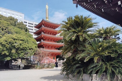 Hakata Oude Stad Begeleide Wandeltocht in Fukuoka