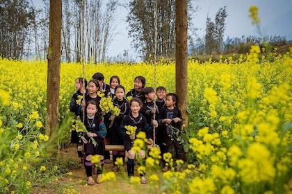 Private Sapa Trekking Adventure to Cat Cat and Sin Chai Villages