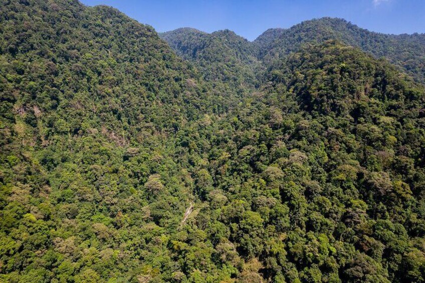 Cloud Forest and Hidden Waterfall Hike in Santiago Atitlan 