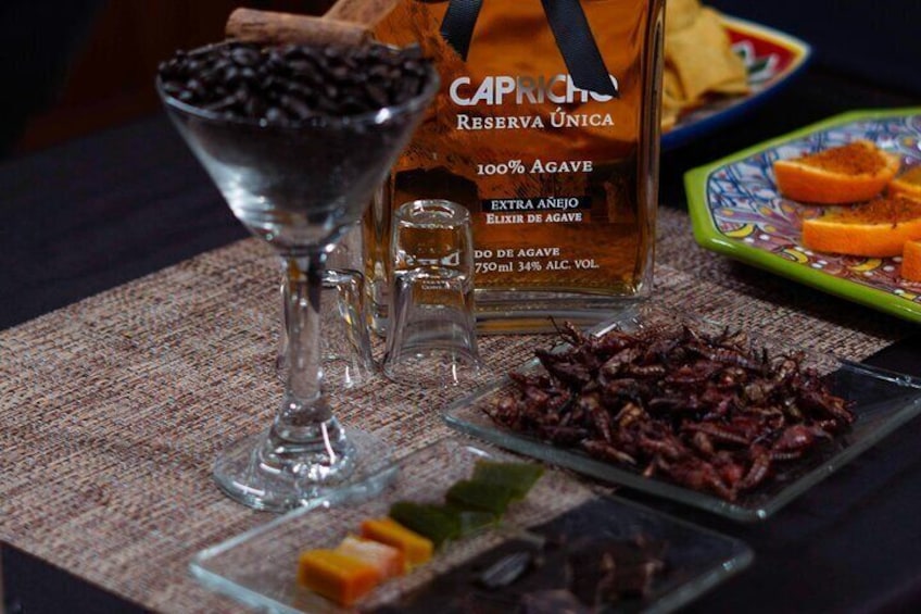 Tequila Tastings and Cocktail Workshop in Faro de Cabo San Lucas