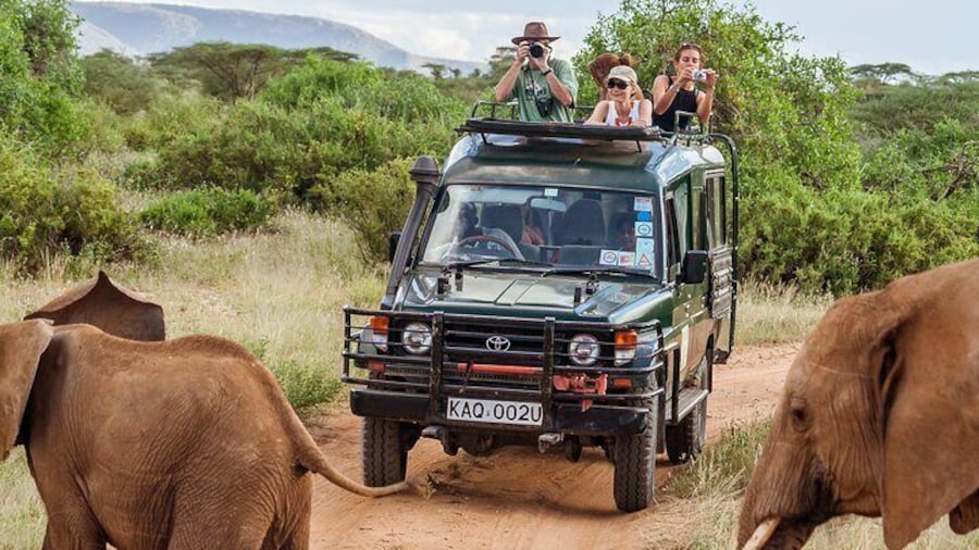 10 Days Explore Kenya Wildlife Luxury Safari