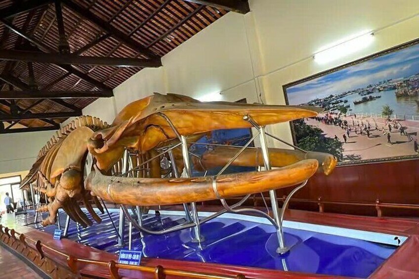 Discover Phan Thiet: Ta Cu Mountain, Cham Tower & Lying Buddha