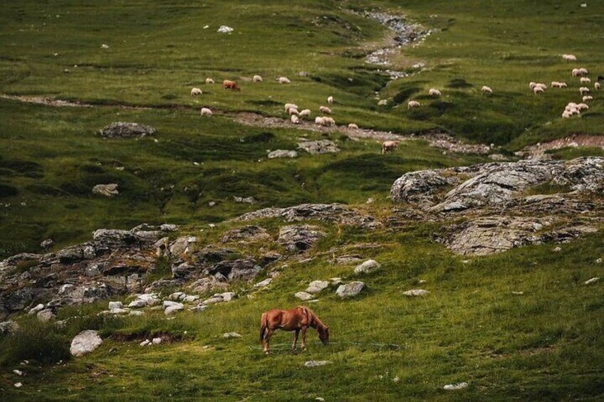 3 Days All Inclusive Valbona-Theth Hiking Tour