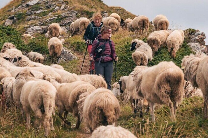 3 Days All Inclusive Valbona-Theth Hiking Tour