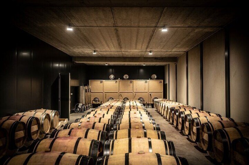 Tuscany Multi Day Bike Tour History Wine and Local Flavors