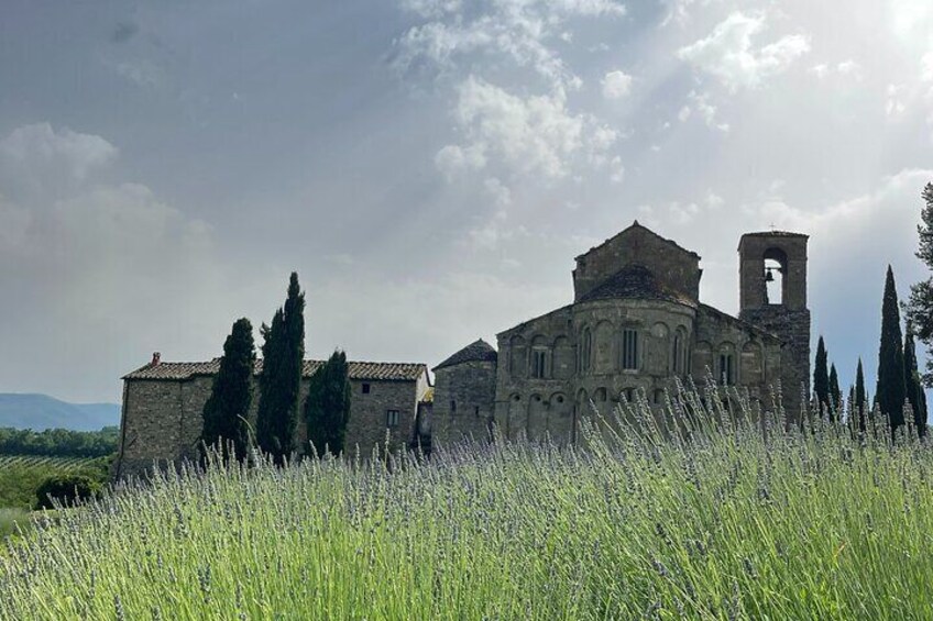 Tuscany Multi Day Bike Tour History Wine and Local Flavors