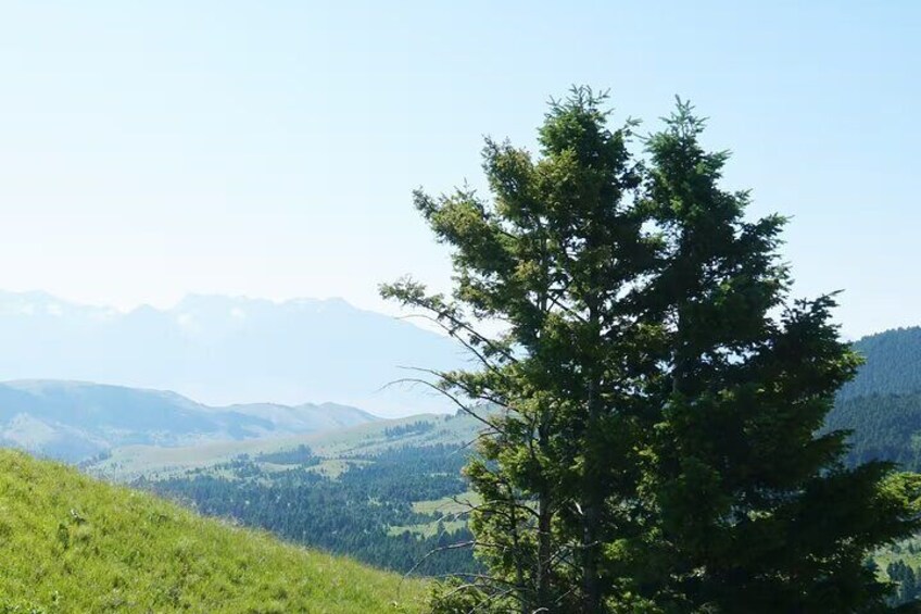 Chimney Rock Trail Ride