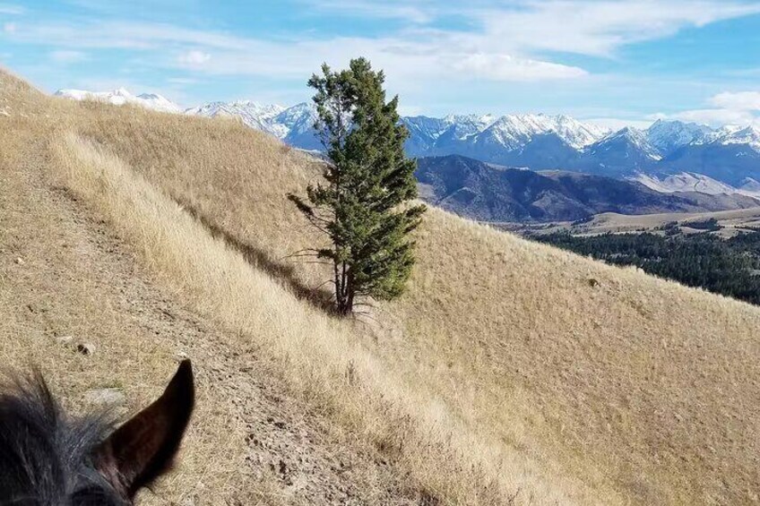 Chimney Rock Trail Ride