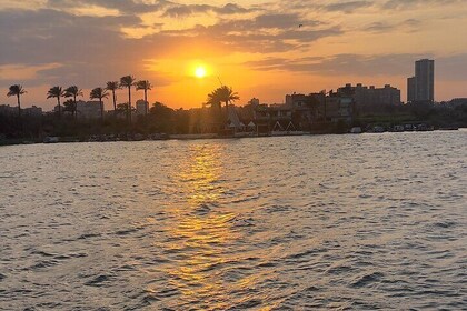 Golden Hour Dinner Cruise Scenic Views from Cairo