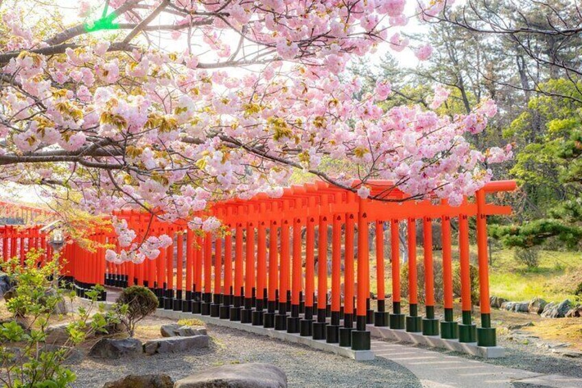 Takayama Inari Shrine in spring
