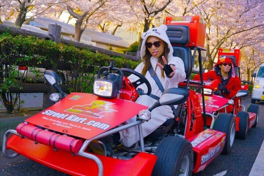 Official Street Go-Kart Tour in Asakusa