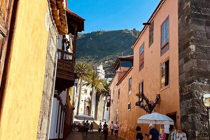 Authentic Tenerife, Teide and Masca on a Private Tour.
