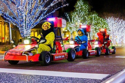 Official Street Go Kart Tour Akihabara 2nd