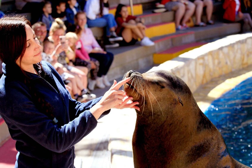 Picture 28 for Activity Benidorm: Aqualandia Entry w/Optional Mundomar Combo Ticket