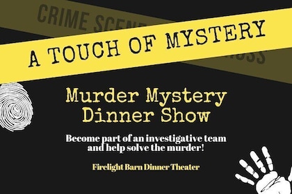 Interactive Murder Mystery Show and Dinner at Firelight Barn