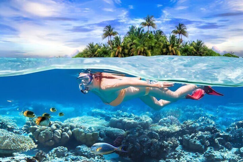 Pigeon Island Snorkeling Tour From Uppuveli Beach