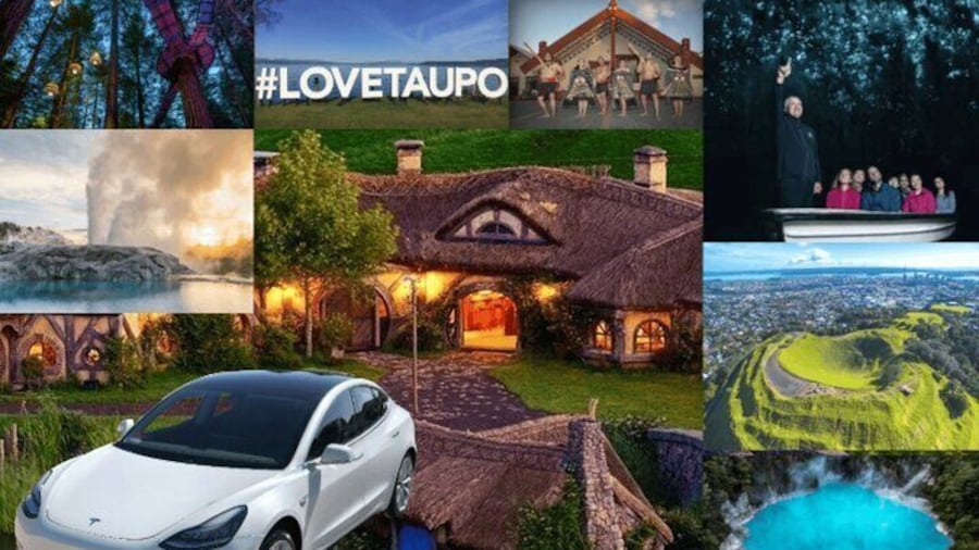 Private 3 Day Driver with Tesla M3 Customizable North Island Tour
