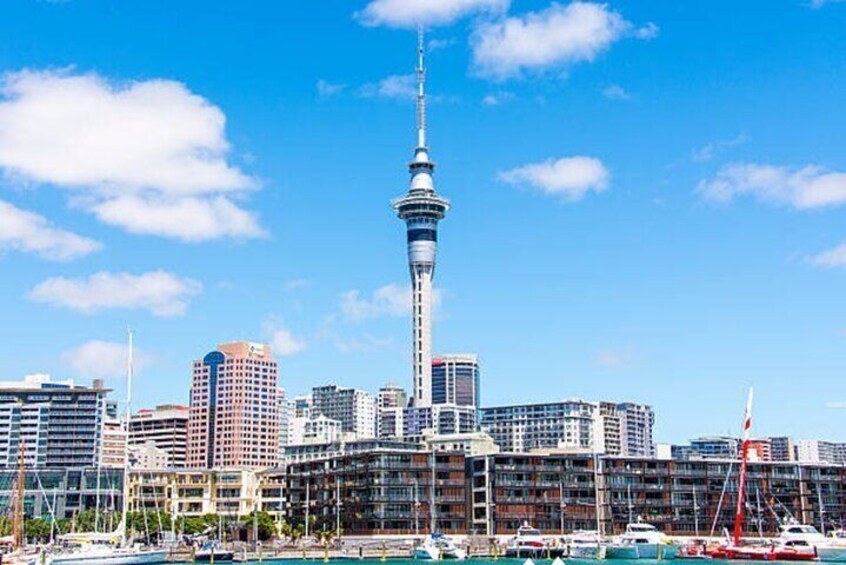 Private 3 Day Driver with Tesla M3 Customizable North Island Tour