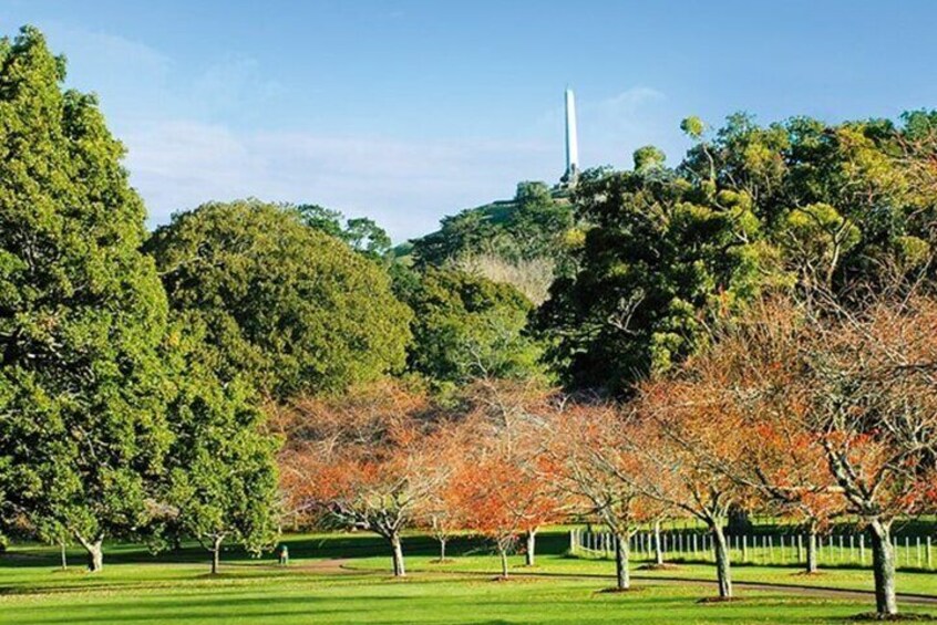 Private 3 Day Driver with Tesla M3 Customizable North Island Tour
