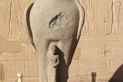 Private Tour und Transfer von Assuan nach Luxor Edfu Temple