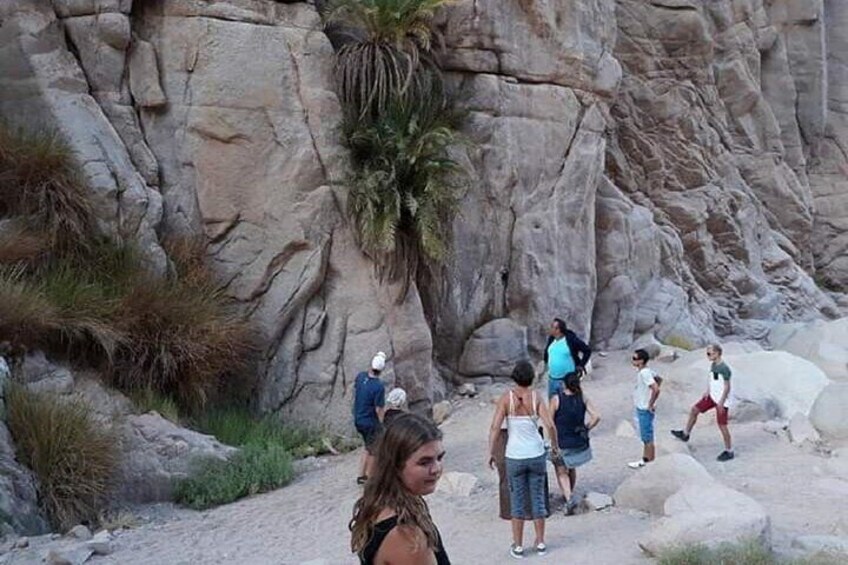 Sandboarding Experience & Caves with Moroccan Breakfast - Agadir