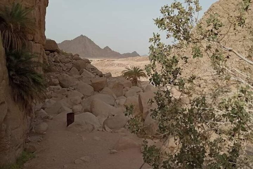 Sandboarding Experience & Caves with Moroccan Breakfast - Agadir