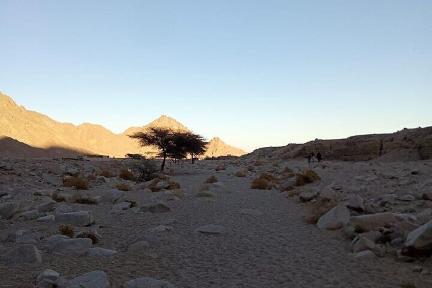 Sandboarding Experience & Caves with Moroccan Breakfast - Agadir