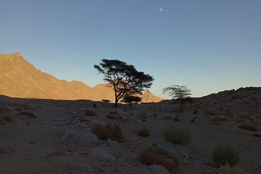 Sandboarding Experience & Caves with Moroccan Breakfast - Agadir